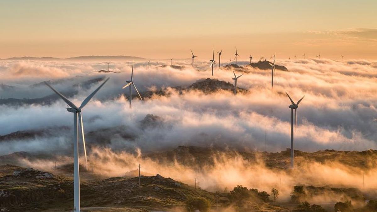 Un parque de energía eólica.