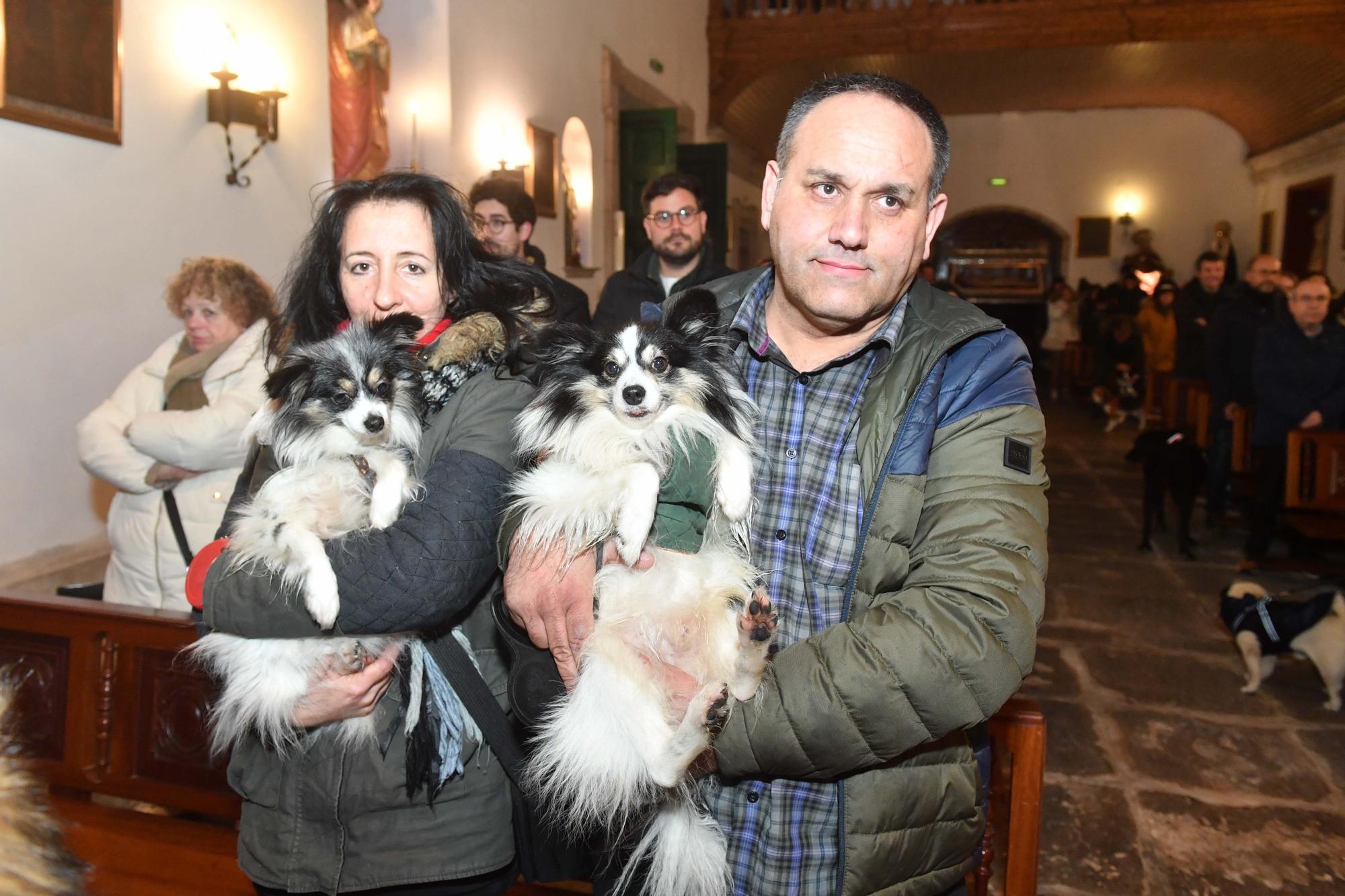 Bendición de mascotas por San Antón en A Coruña