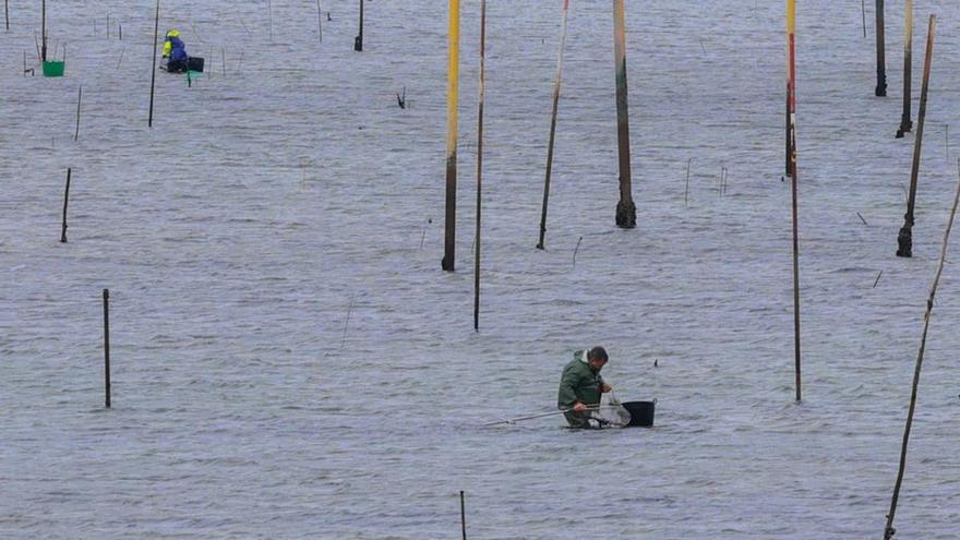 Vista de los parques de cultivo de Carril. | Iñaki Abella