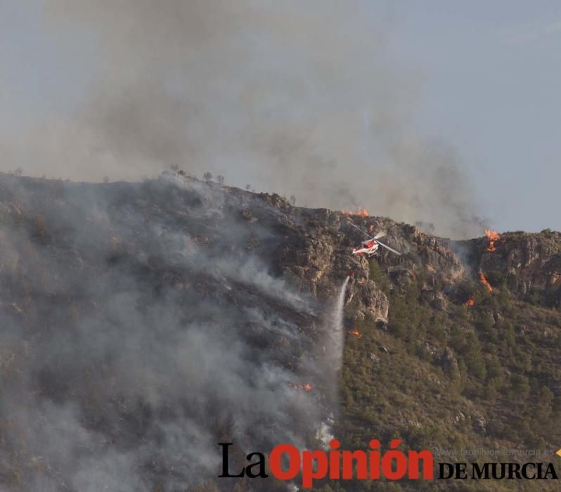 Incendio Sierra del Molino