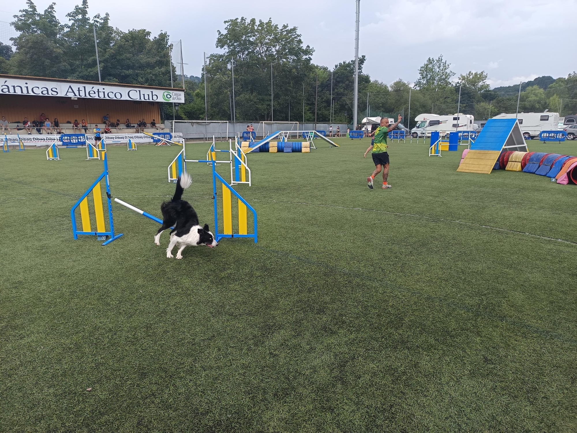 Rotundo éxito del VI Trofeo Agility "Ciudad de Cangas de Onís"