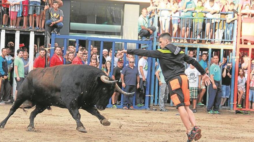 Quince toros cerriles harán vibrar a la afición