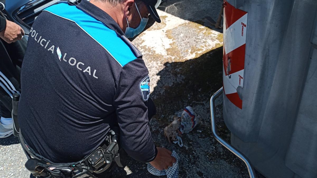 La Policía Local de Poio rescatando al gato abandonado