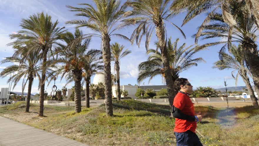 Castellón estará este viernes en alerta por rachas de viento de hasta 80 km/h