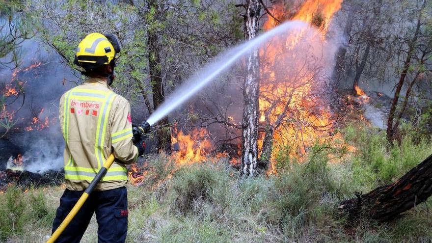 Crema d&#039;un bosc de pinassa al Solsonès