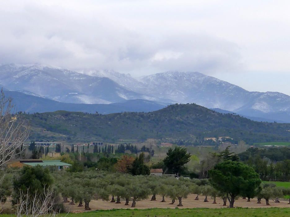 La serra de l''Albera vista des de l''AP-7