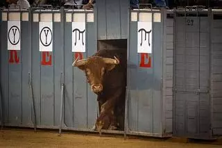 Ambientazo en la desencajonada que abre la Feria de Julio