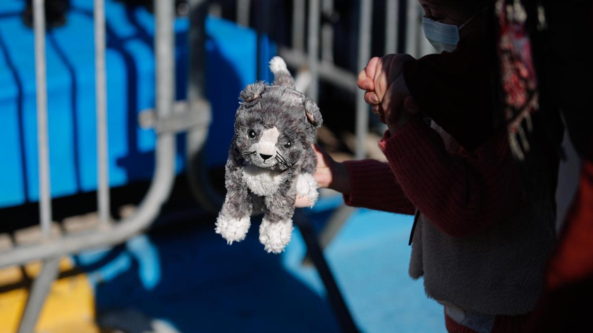 El gatito de peluche de Laia Costa Galván.