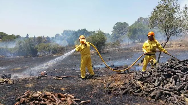 Grupo de Pronto Auxilio de las Siete Fincas: guardianes contra el fuego