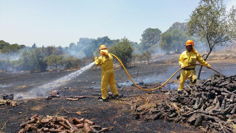 Grupo de Pronto Auxilio de las Siete Fincas: guardianes contra el fuego