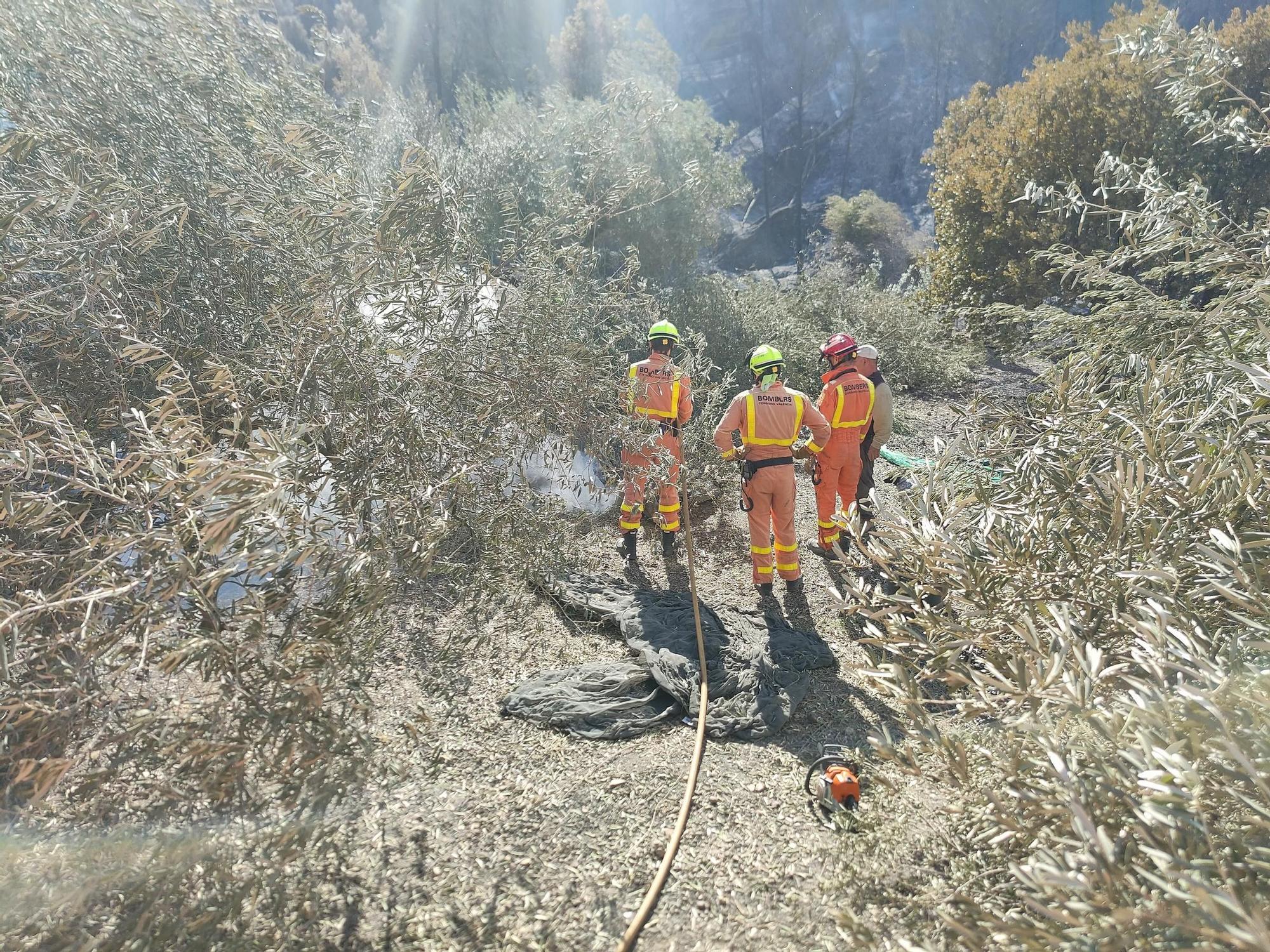 El incendio forestal arrasa con la sierra natural de Terrateig