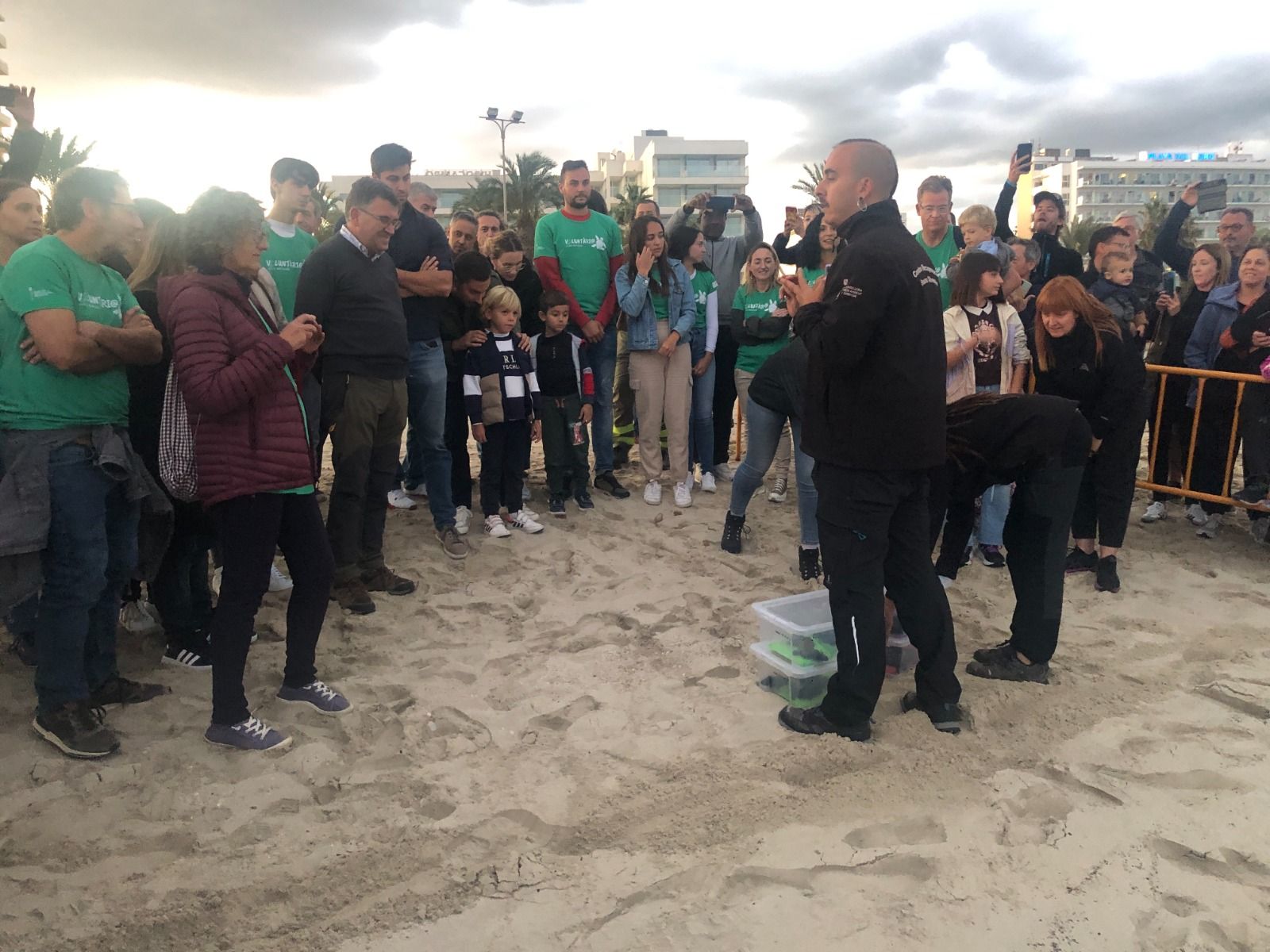 Cala Millor | El retorno de 19 tortugas marinas nacidas en la playa, en imágenes