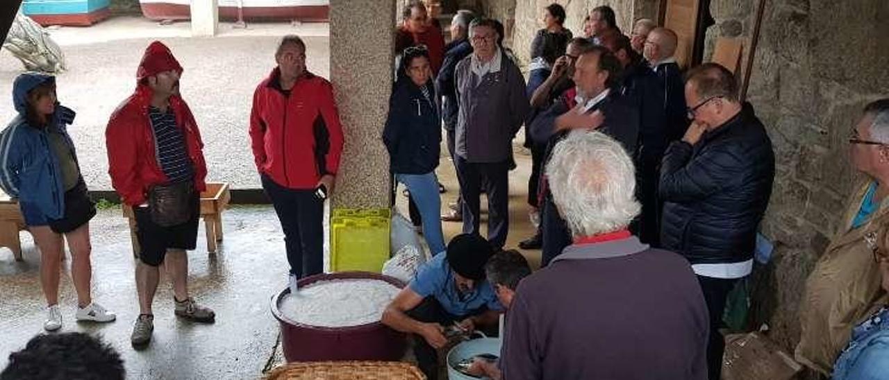 El proceso de hacer la &quot;chanca&quot;, que consiste en colocar las sardinas en sal. // FdV