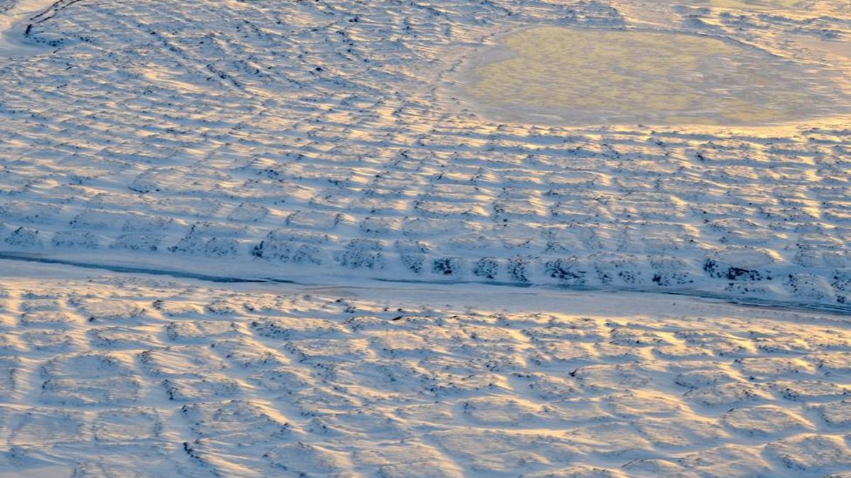 Gran parte de la tundra de Alaska es permafrost.