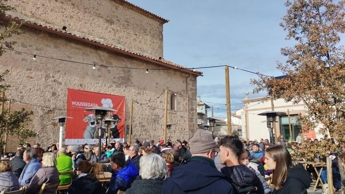 La Muussegada d'Olvan revalida l’èxit amb la força de la vedella autòctona