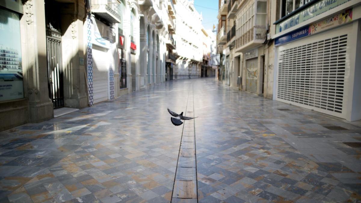 Una paloma vuela por una calle de Cartagena que tiene solo para ella.