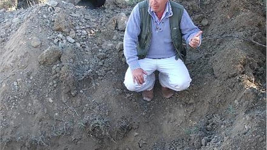Luis Avial, director de Condor Georadar, muestra los huesos hallados en la fosa.