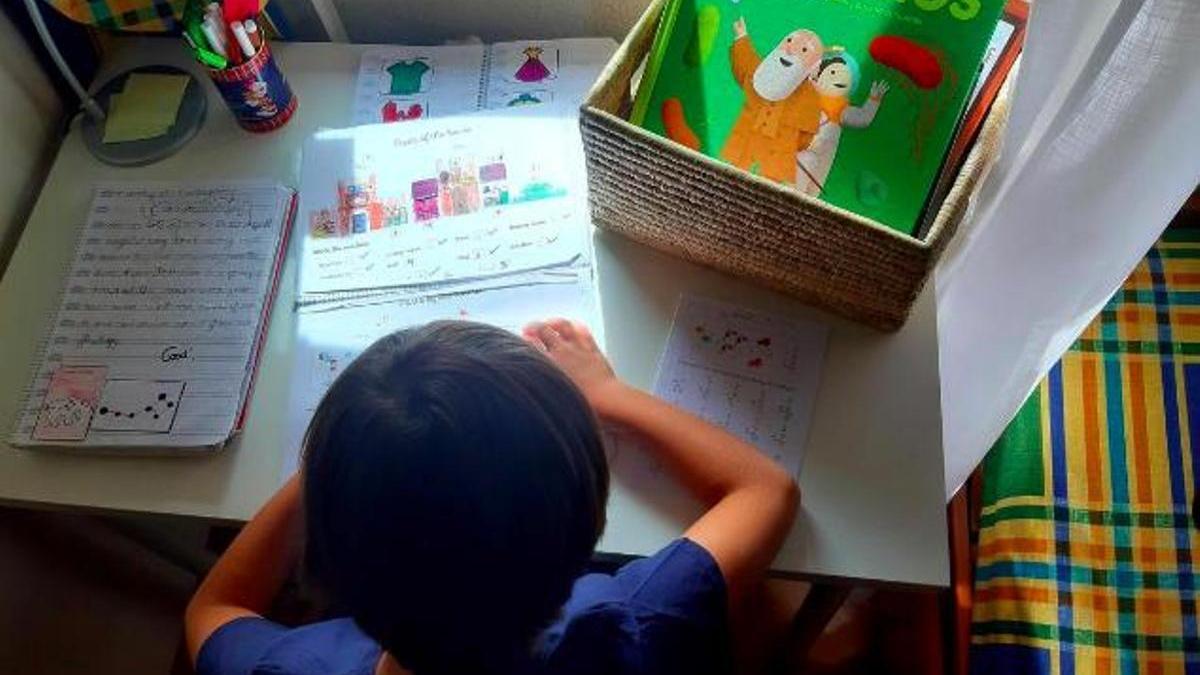 Las clases particulares se dan en todas las etapas educativas, desde infantil hasta bachillerato.