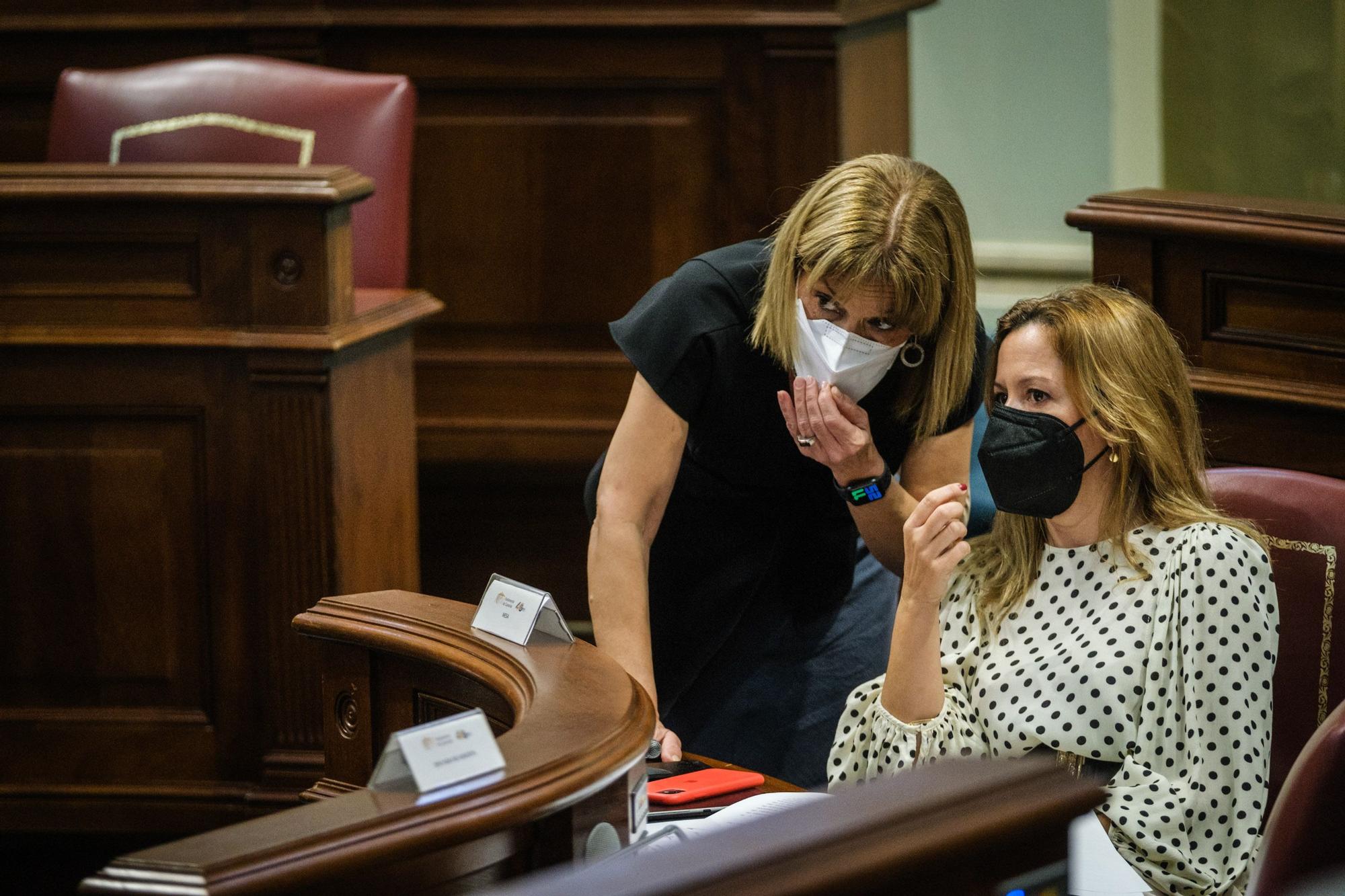 Pleno del Parlamento de Canarias (27/12/2021)