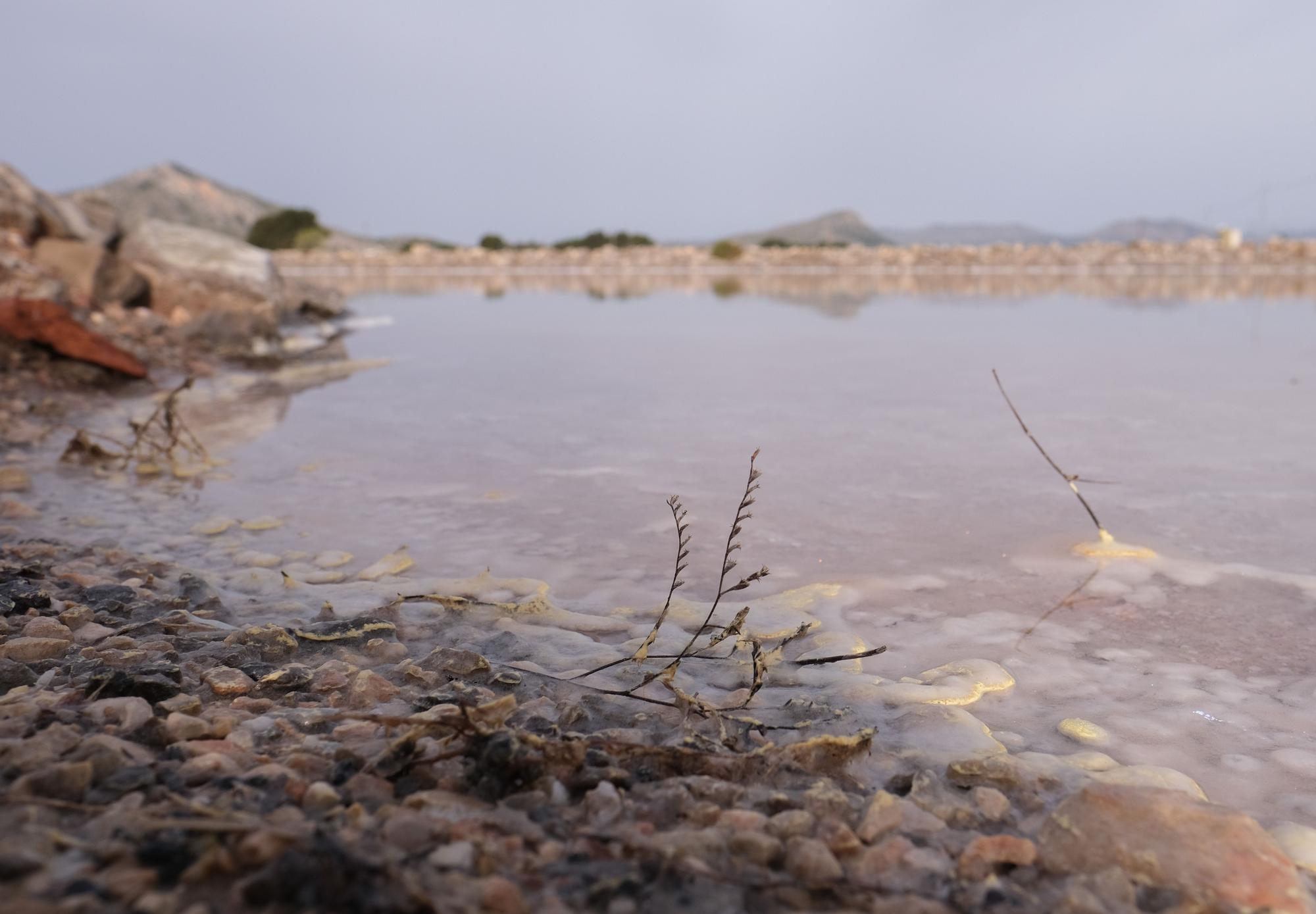 Un mundo extraterrestre en Villena