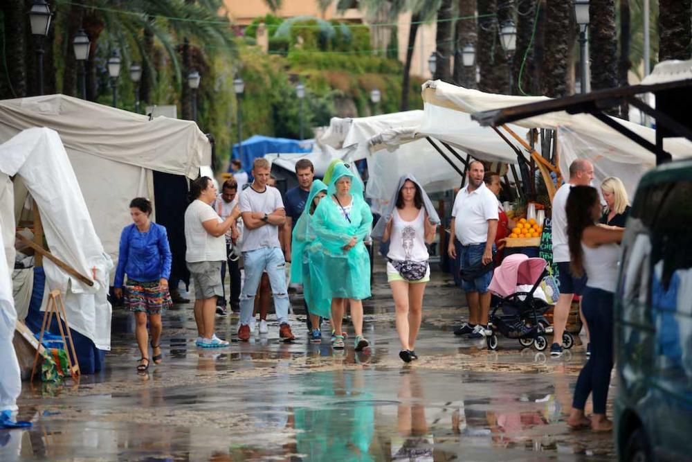 Tormenta en Palma