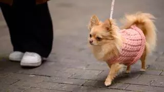 ¿Ha sido este invierno en Canarias más frío de lo habitual?