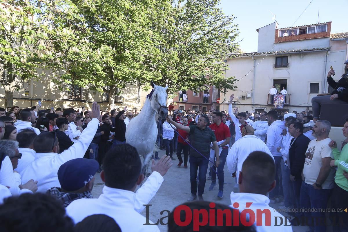 Concurso de caballo a pelo: pasacalles hasta el Hoyo en Caravaca