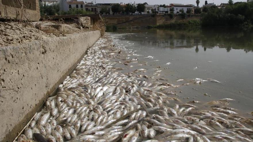 Pernichi asegura que el vertido al río ha sido una «catástrofe medioambiental»