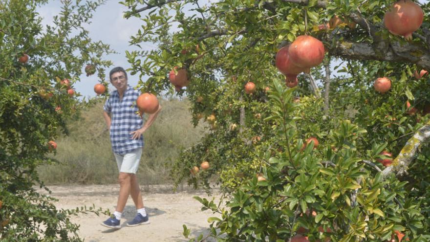 Elche ya tiene la marca &quot;Camp d&#039;Elx&quot; para poner en valor los productos y la artesanía