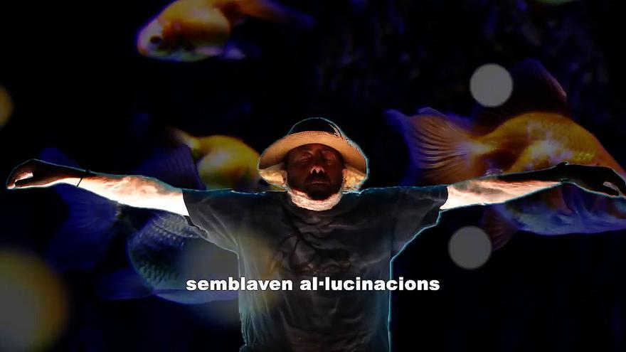 El reencuentro fraternal de tres músicos mallorquines 50 años después