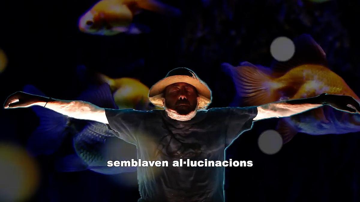 VÍDEO | Así es el videoclip de 'Aqui estic tranquil' de Fra3