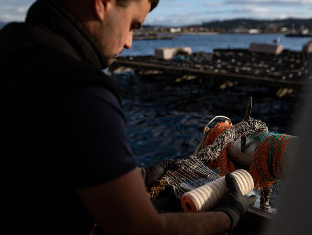 Hay productores afectados en puertos como A Illa, Vilanova, Cambados y O Grove