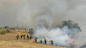 Desalojadas todas las viviendas de una urbanización por un fuego de pastos en Tres Cantos