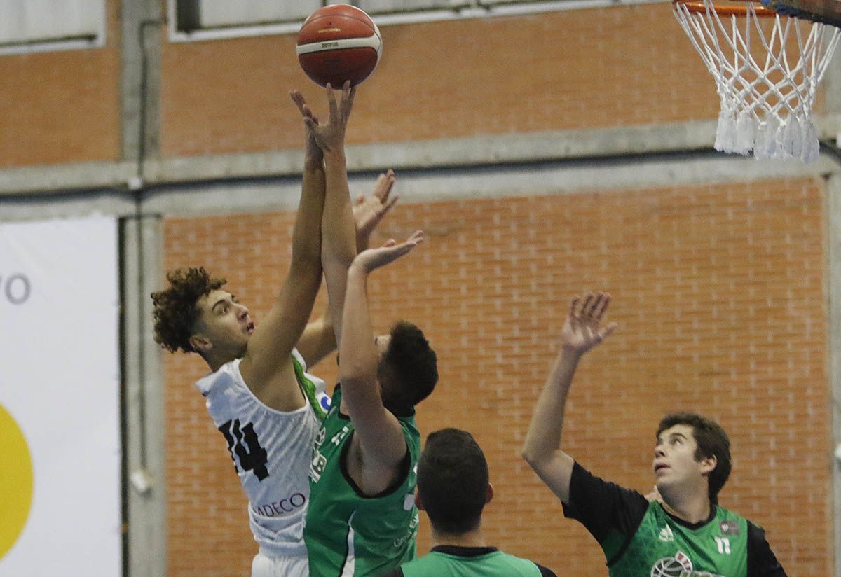 En imágenes, el derbi entre Coto Ciudad de Córdoba y el UCB Camper baloncesto