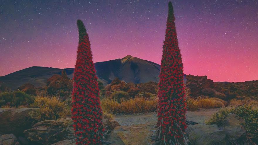 Canarias ve por primera vez de forma nítida auroras boreales: «Fue impresionante, mágico»