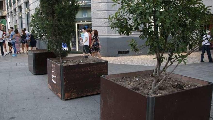 Jardineras instaladas a la entrada de Santa Clara.