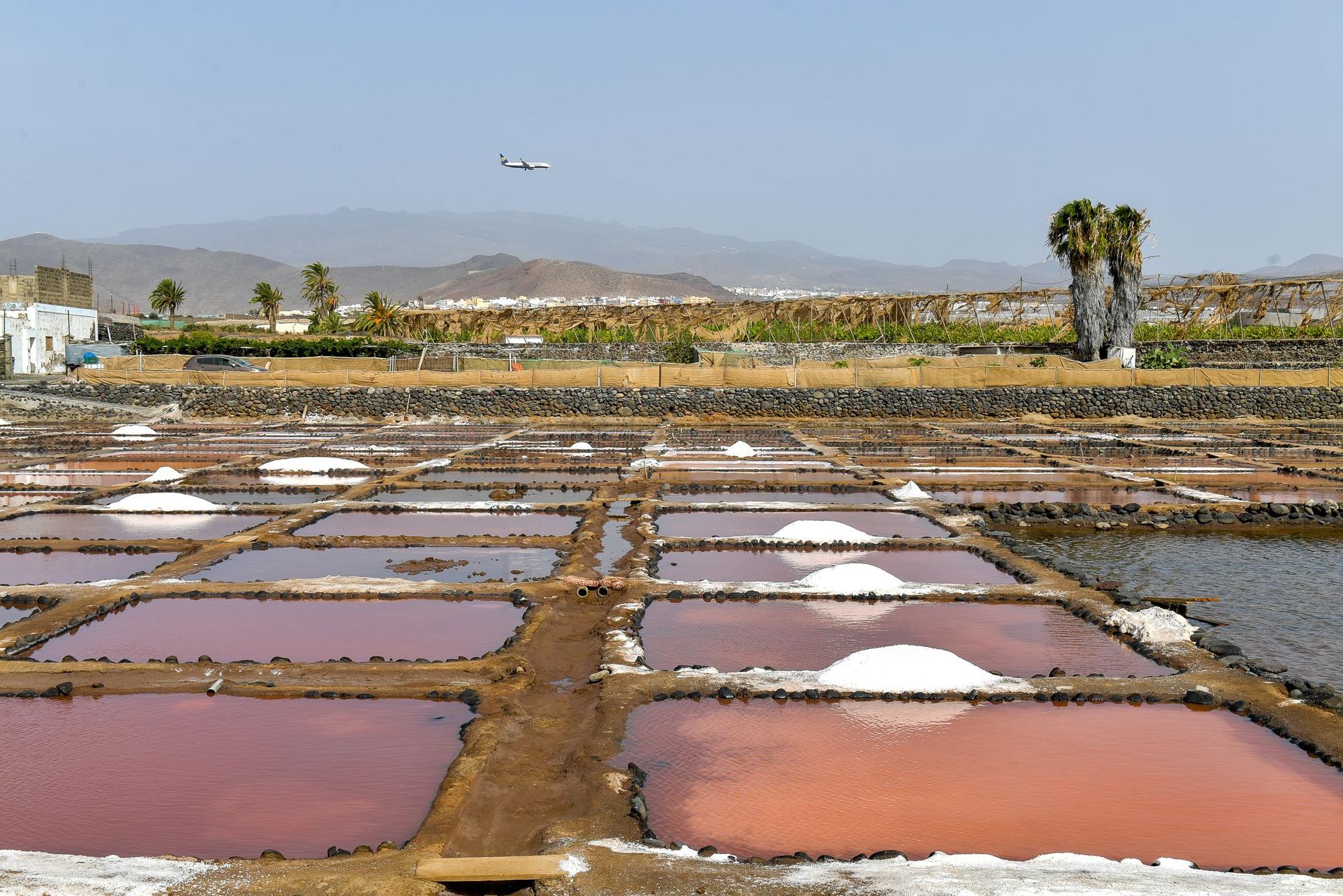 Salinas de Vargas