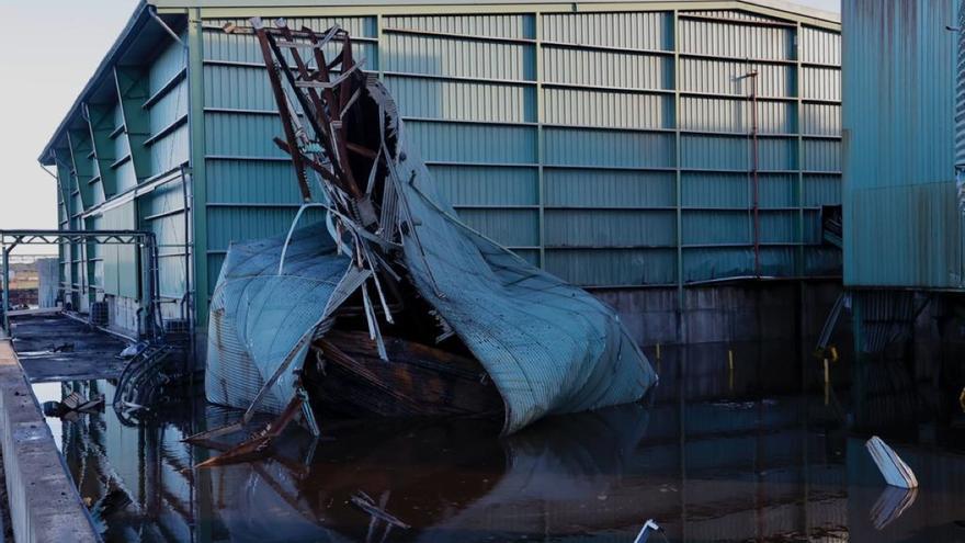 Cuatro trabajadores heridos en la explosión del depósito de agua de la almazara de Mérida