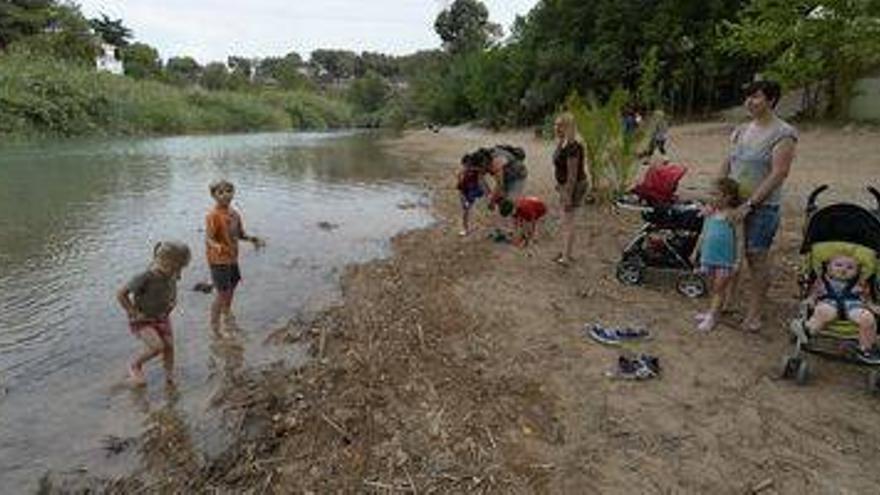 Vila-real abre su playa del Millars tras eliminar el cañar en el Termet