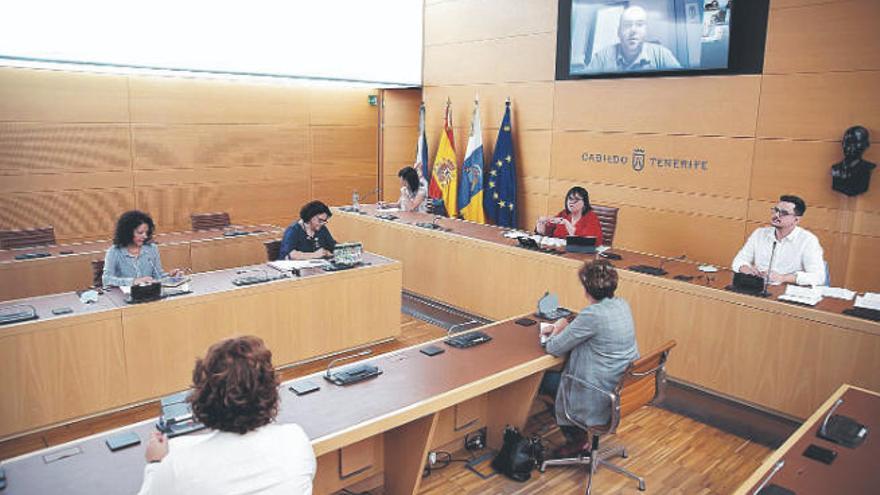 Un momento de la reunión entre el Cabildo y los ayuntamientos para el reparto de las ayudas.