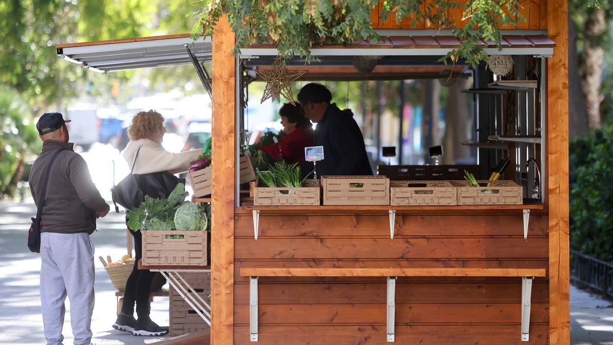 El Mercat Pagès inició este lunes su nueva andadura en el Boulevard Abel Matutes.