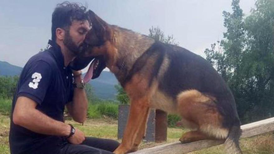 Kaos, el perro héroe del terremoto de Amatrice, muere envenenado