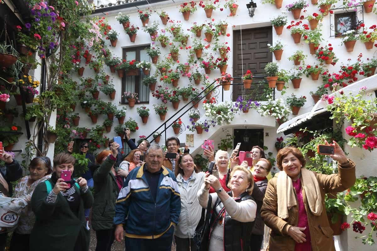 Paseando, patio a patio, por el Alcázar Viejo