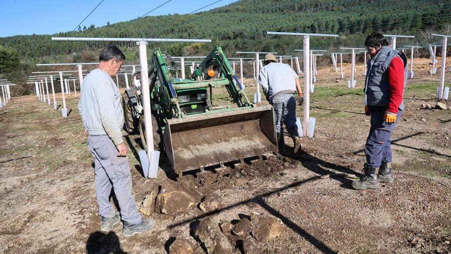 O Salnés despliega un proyecto para impulsar el emprendimiento económico en zonas rurales