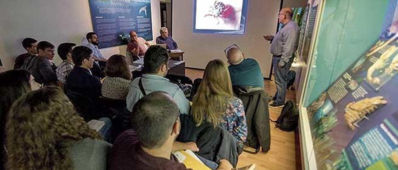 Una sesión de la Trobada d&#039;Entomologia Balear en el Museo.