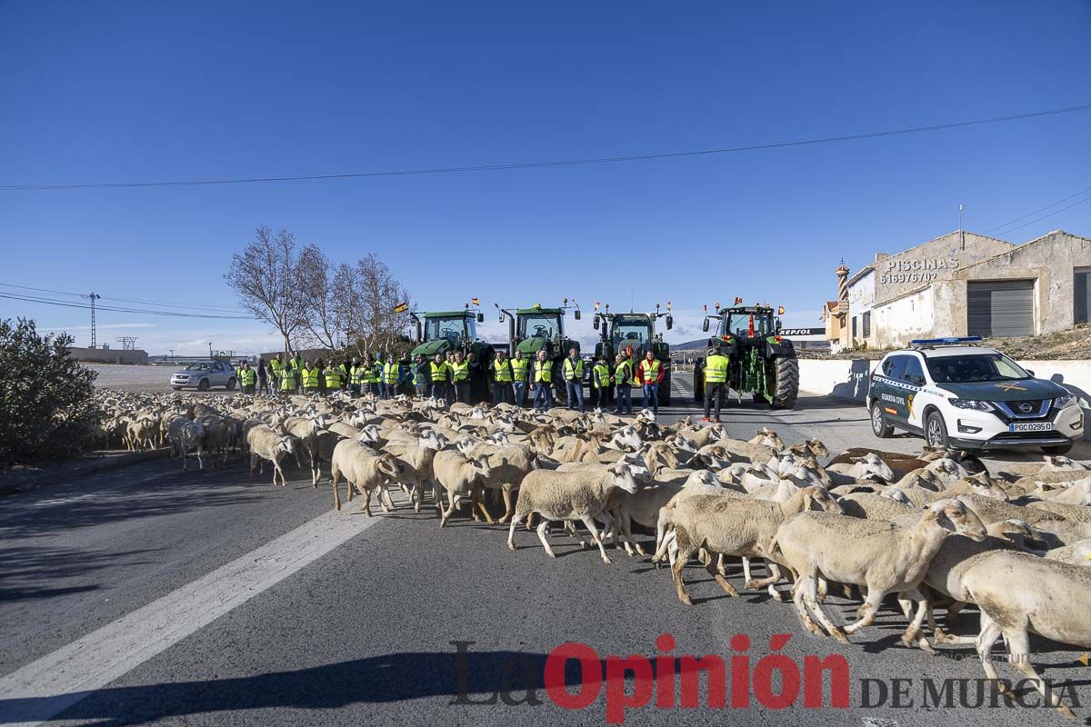 Manifestaciones de agricultores en Caravaca