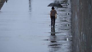 Una lluvia de virus y bacterias cae del cielo cada día