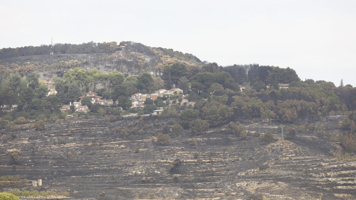 Santuario de la Misericordia al fondo, este martes