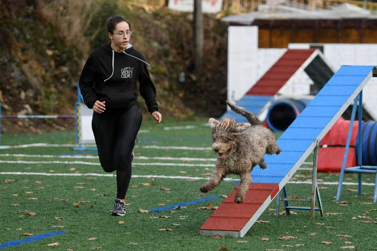 Una guía conduce un ejercicio de agility, ayer, en el campo de DivertiCans en el lugar de Couso, en la parroquia de Lérez.
