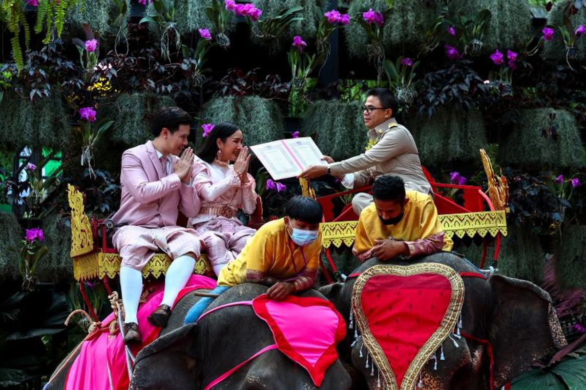 Ceremonia de firma de licencias de matrimonio en elefantes, el día de San Valentín, en el Jardín Tropical Nong Nooch en Chonburi, Tailandia